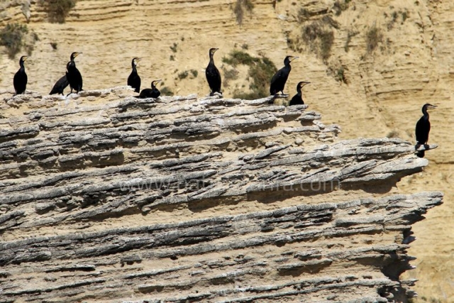 observando desde las rocas